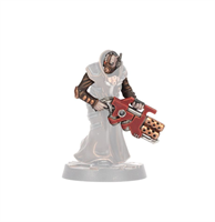 Warhammer Necromunda - Delaque Gang