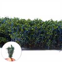 Green Stuff World - Tall Shrubs Blue-Green
