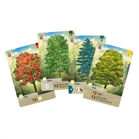 Lookout Spiele - Mischwald