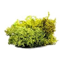 Battlefield Basing - Grasstreu