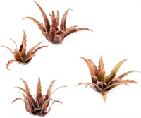 Gamers Grass - Papierpflanzen (Pre Painted)