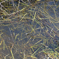 AK Interactive - Diorama: Still Water