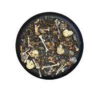 Krautcover - Basecover