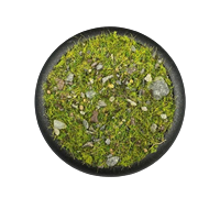 Krautcover - Basecover