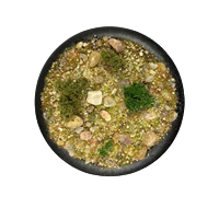 Krautcover - Basecover