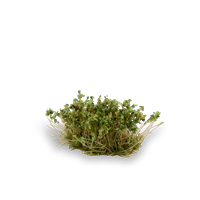 Gamers Grass - Shrubs Strong Green (6mm)