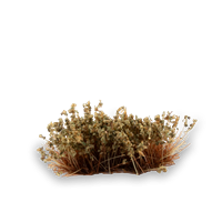 Gamers Grass - Shrubs Swamp (6mm)