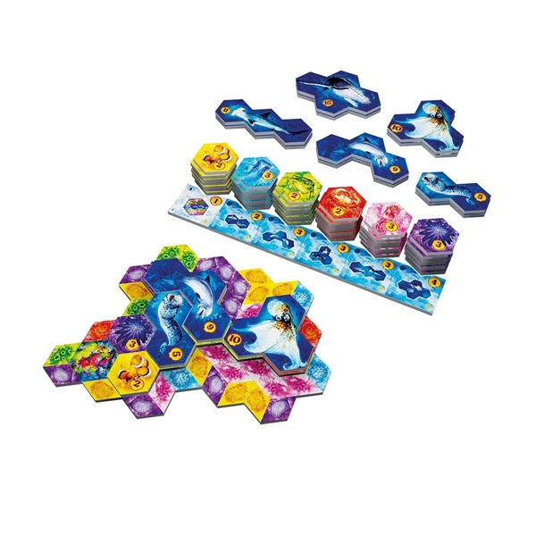 Sidekick Games - Aqua: Bunte Wasserwelten