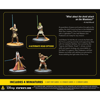 Star Wars: Shatterpoint - Wisdowm of the Council