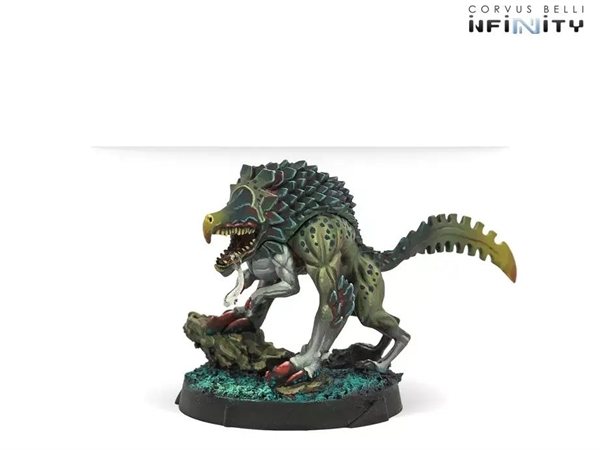 Infinity - Combined Army