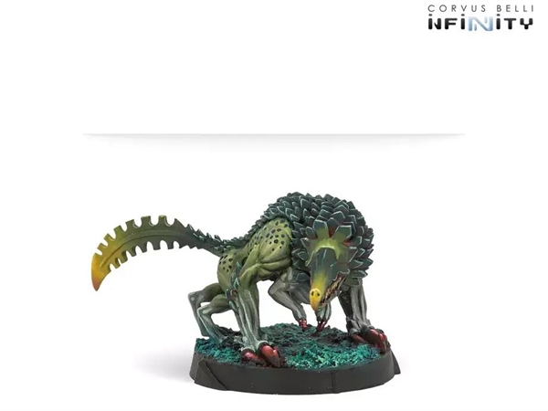 Infinity - Combined Army