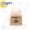 Citadel - Dry, Eldar Flesh (23-09)