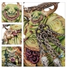 Warhammer 40 K / AoS - Daemons of Nurgle