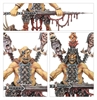 Warhammer Age of Sigmar - Orruk Warclans