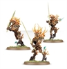 Warhammer Age of Sigmar - Sylvaneth