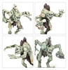 Warhammer Age of Sigmar - Flesh-eater Courts