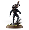 Warhammer 40 K - Agents of the Imperium