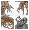Warhammer Necromunda - Ash Waste Nomads
