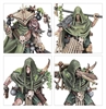 Warhammer Age of Sigmar - Maggotkin of Nurgle