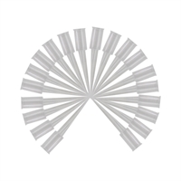 Green Stuff World - CA- Przesionsspitzen