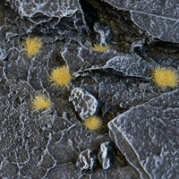 Gamers Grass - Tiny Tufts Beige (2mm)