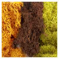 Green Stuff World - Islandmoos