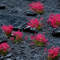 Gamers Grass - Pink Flowers (6mm)