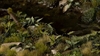 Gamers Grass - Papierpflanzen (Pre Painted)