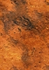 Playmats.eu - Mars