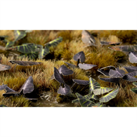 Gamers Grass - Sch.Elefantenohr (Black Magic Taro)