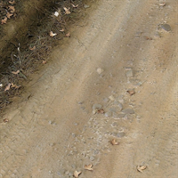 AK Interactive - Diorama: Terrains Light Earth