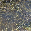 AK Interactive - Diorama: Still Water
