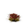 Gamers Grass - Red Camellia Flowers (6mm)