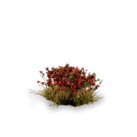 Gamers Grass - Red Camellia Flowers (6mm)