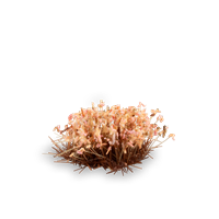 Gamers Grass - Shrubs Autumn (6mm)