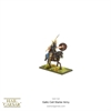 Hail Caesar - Gallic Celt Starter Army