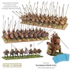Hail Caesar - Successor Starter Army