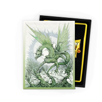 Dragon Shield - Standard Dual Matte Art Sleeves