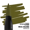 AK Real Colors - RC Marker, Interior Green