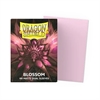 Dragon Shield - Standard Dual Matte Sleeves