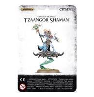 Warhammer Age of Sigmar - Tzeentch Arcanites
