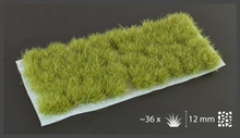 Gamers Grass - Tufts Dry Green XL (12mm)