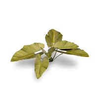 Gamers Grass - Papierpflanzen (Pre Painted)