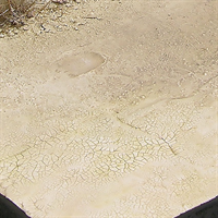 AK Interactive - Diorama: Light&Dry Crackle Effect