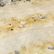 AK Interactive - Diorama: Terrains Desert Sand