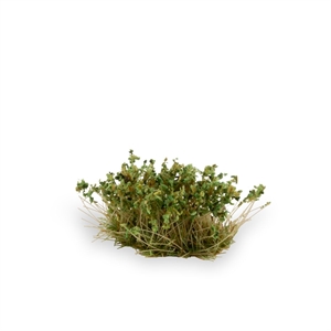 Gamers Grass - Shrubs Strong Green (6mm)