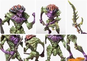 Conquest - Weaver Courts